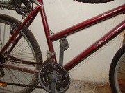 Rower Górski wiśniowy damski