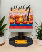 Anatomiczny przekrój ludzkiej skóry - Druk 3D