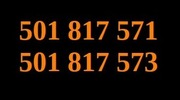 501 817 571 i 501 817 573 2 Złote, Podobne numery 
