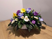 Stroik , kompozycja , dekoracja bratki do domu lub na grób , cmentarz ST17