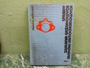 Układy zasilania gaźnikowych silników samochodowych 