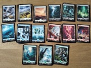 MTG Magic - Fullart Basic Lands Zendikar Rising Set 50