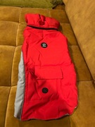 Kurtka zimowa dla psa czerwona z kapturem