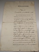 1894  cesarstwo niemieckie świadectwo urodzenia
