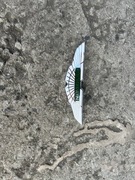 ASTON MARTIN VANQUISH  Znaczek emblemat