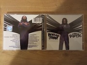 Wyclef Jean The Ecleftic: 2 Sides II a Book (2000)