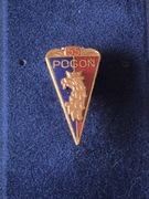 Pogoń Szczecin 55 lat - odznaka