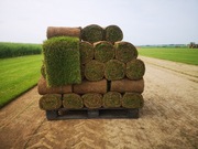 Trawa w rolce , trawniki rolowane , trawa z rolki