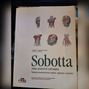 Atlas anatomii człowieka 