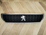 Atrapa grill  Expert III