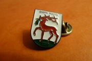 Dobre Miasto Pow. Olsztyn Herb pin przypinka 