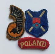 10 Pułk Dragonów PSZnZ - I KORPUS - naszywki