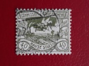 Fi 21 Górny Śląsk 1920r. (4)