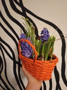 Kompozycja kwiatowa na dzień Babci i Dziadka