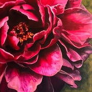 Beata Czechowa, Piwonia, kwiaty, Obraz na płótnie