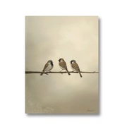 Trzy wróble – minimalistyczny plakat w stonowanych kolorach, 30x40cm
