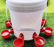 Poidełka dla drobiu 