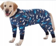 BT Bear Ubranko dla psów r.5XL