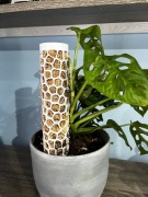 Palik na mech do roślin pnących