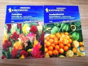 Nasiona: miechunka peruwiańska, celozja pierzasta.