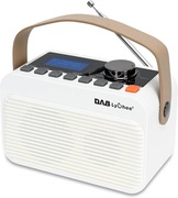 Lychee Digital FM Radio DAB/DAB+ BT Portable Radio Rechargeable LED