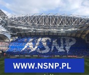 Domena www.nsnp.pl