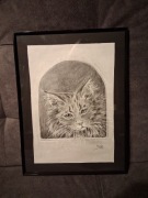 Obraz rysunek kot kotek