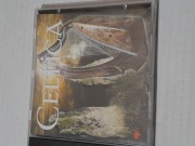 Celtica CD muzyka celtycka