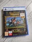 Harry Potter Quidditcha champions PL PS5 folia 