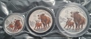 2021 - TRZY Srebrne Monety Lunar III - Rok Bawoła kolor, waga 0,5, 1 i 2 oz