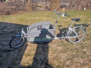 Rower Gazelle Cabby