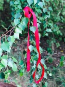 Smycz dla psa kolory 3cm 300cm Cobalt_Dog_Handmade