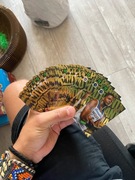 Karty NBA Top Class panini 2024 Holo Giants + Pełna kolekcja na sztuki