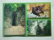 Ojcowski Park Narodowy jaskinie nietoperze - Jerzmanowice