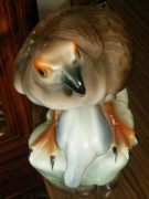 JASTRZĄB GOŁĄB ĆMIELÓW nie CHODZIEŻ BERLIN WŁOCŁAWEK WAŁBRZYCH