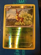 Sawsbuck (RH - Black and White)