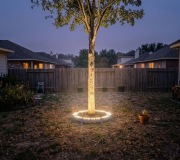 Lampa Oświetlenie Drzew Na Zewnątrz