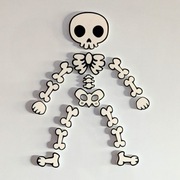 Szkieletek – zestaw magnesów | Mocny magnes neodymowy