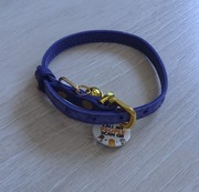 Bronzedog skórzana obroża dla kota psa z QR 23-28 cm niebieska