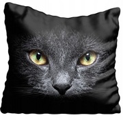 Poszewka dekoracyjna ozdobna 38x38 KOTEK na czrnym tle KOT