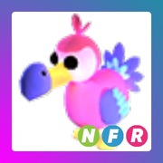 Dodo NFR | Adopt Me | Roblox
