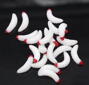 Larwy 5 sztuk , 2cm , kolor biały