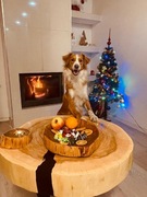 Stolik kawowy | żywica epoksydowa | loft