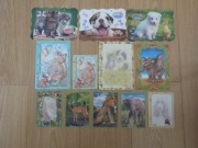 Zestaw karteczek do segregatora Baby cats Baby dogs zwierzątka 3D