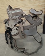 Orteza głowy, szyi i klatki piersiowej 