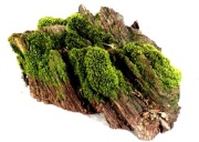 MECH DO TERRARIUM KM53  30/20/18