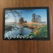 Sprzedam magnes na lodówkę Roztocze 