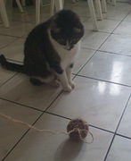 kula drapak piłka z juty dla kota wykonana na szydełku hand made