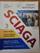 Ściąga z języka polskiego 