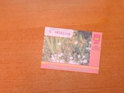 Bilet miesięczny bilety miesięczne MPK Łódź migawki migawka karta